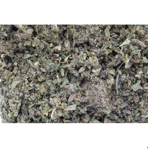 blueberry muffin shake bee(1).jpg